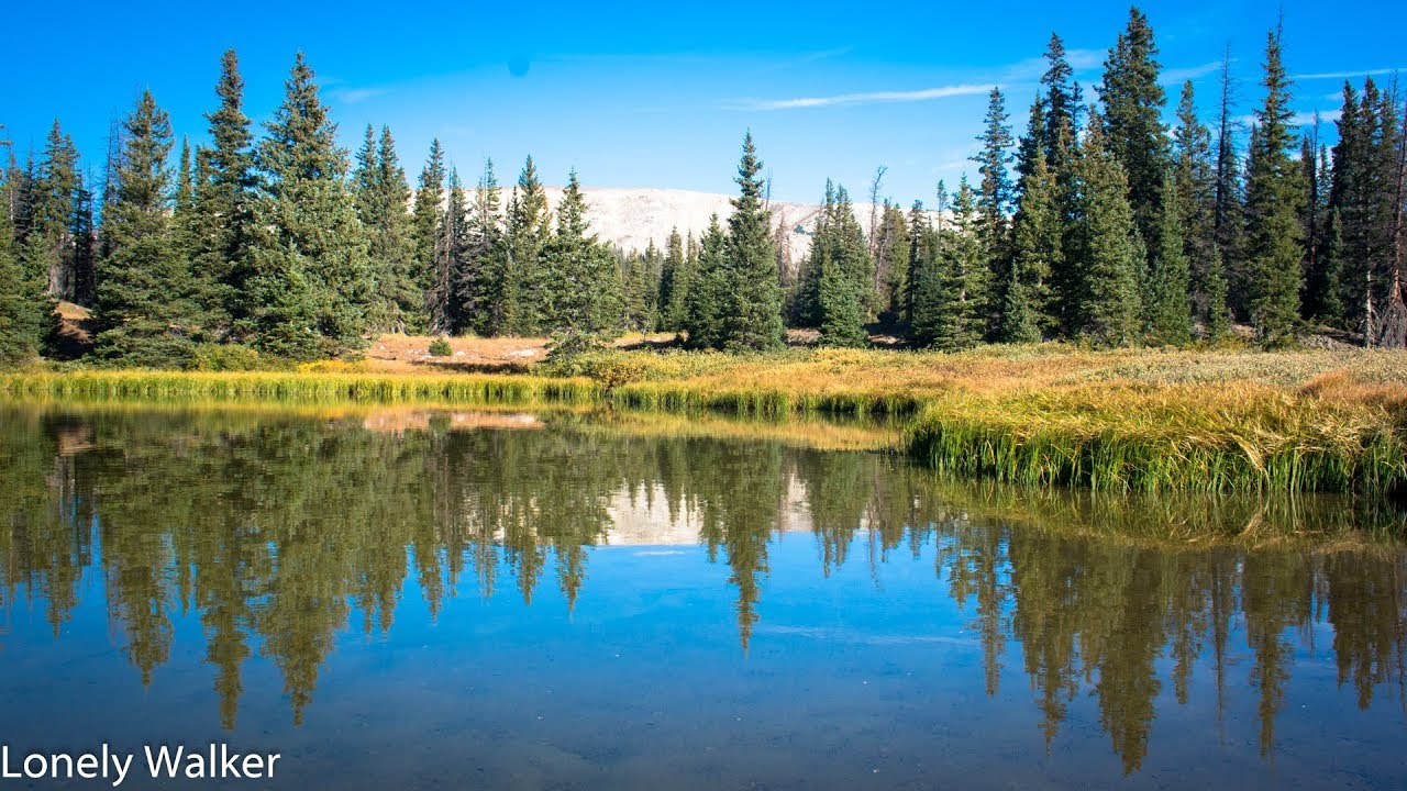 069 WY: Medicine Bow National Forest, beautiful!