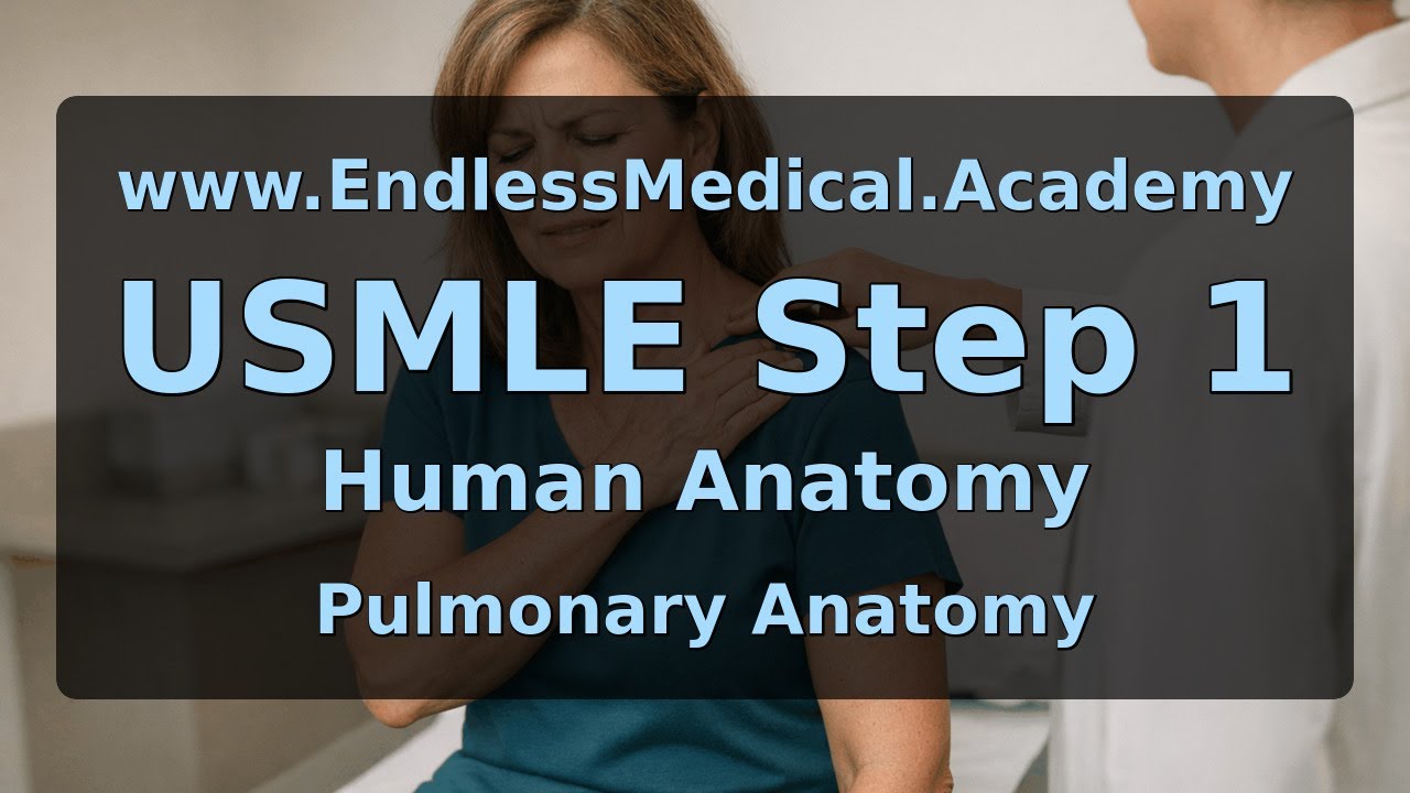 Pulmonary Anatomy, Human Anatomy, USMLE Step 1 - Full Vignette with Extended Explanations