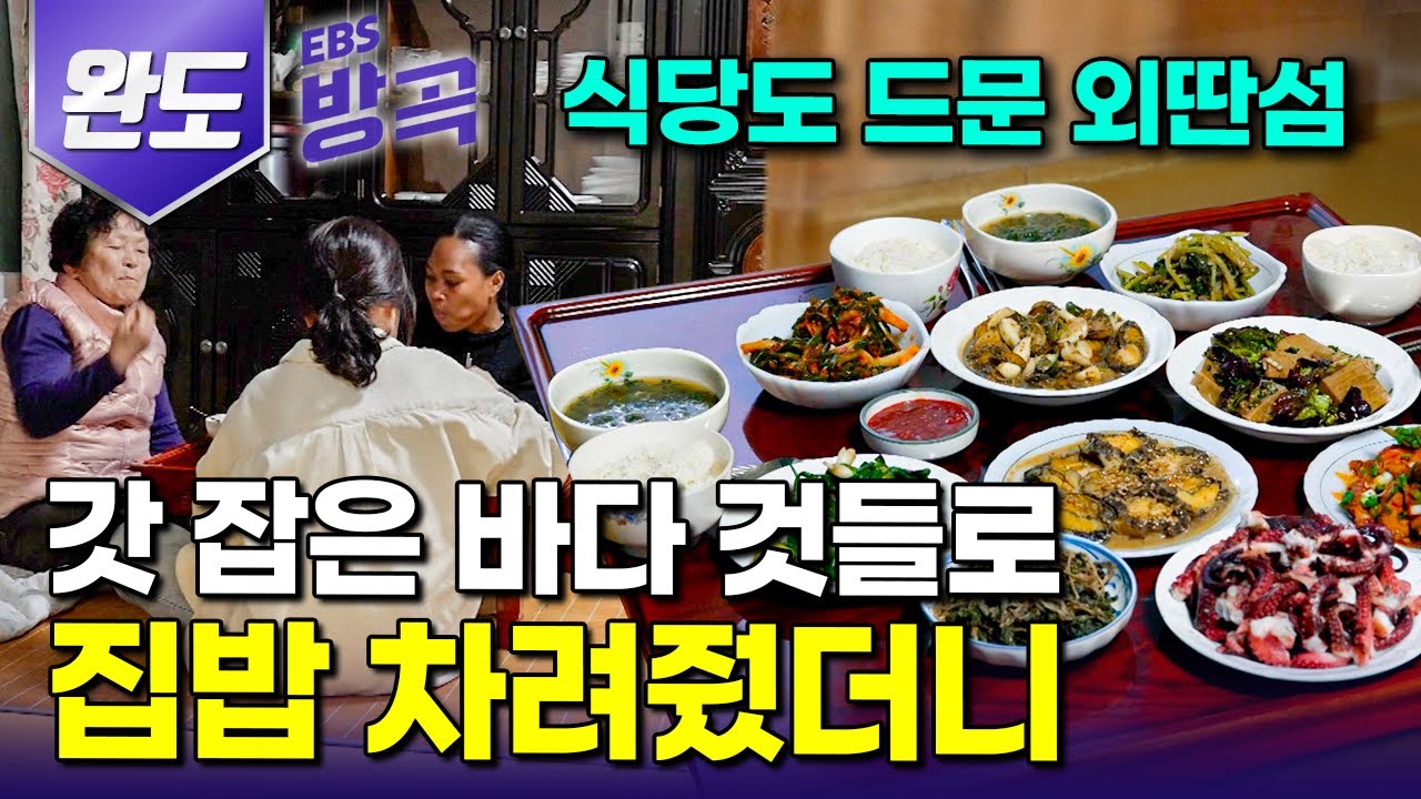 [전남 완도] 