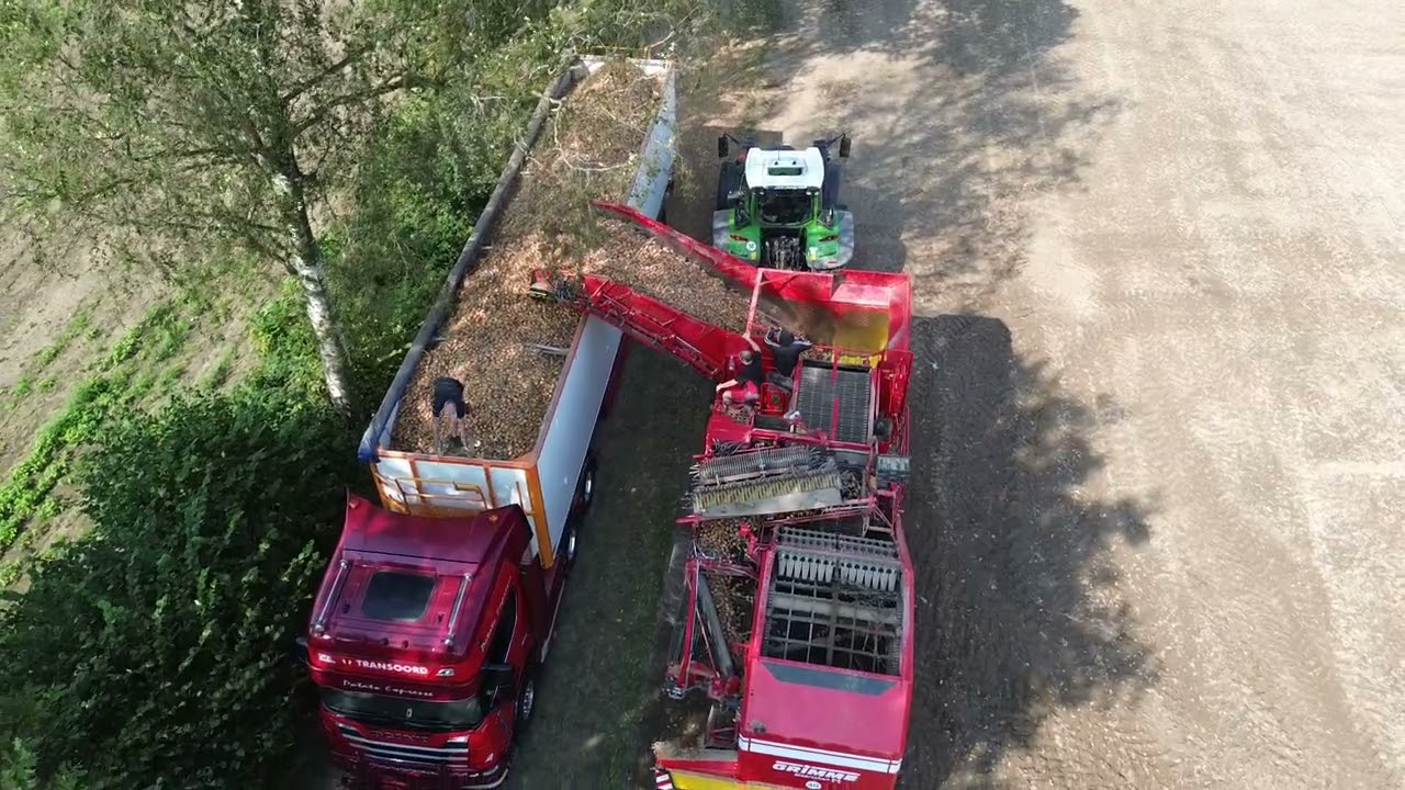 Fendt, Grimme, DEZEURE, Scania beim Zwiebeln ernten,