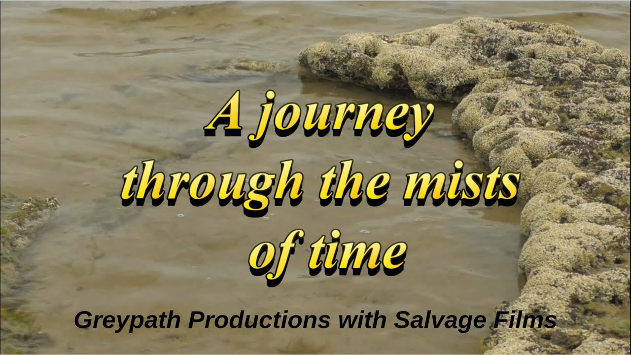 Fossils Walk Rickett's Point. A Journey Through the Mists of Time with Professor John Buckeridge FGS