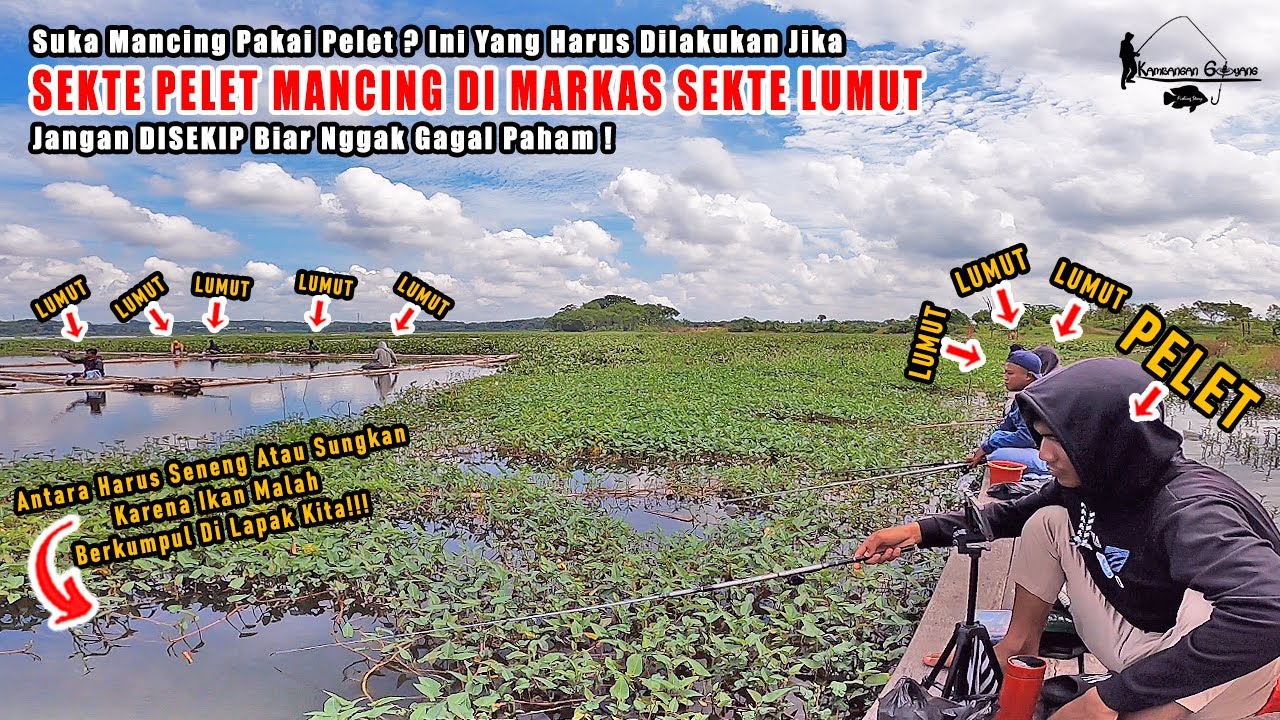 SAYA TIDAK SENGAJA MASUK KE AREA PARA PEMANCING YANG MENGGUNAKAN UMPAN LUMUT ! Fishing Story Eps 93