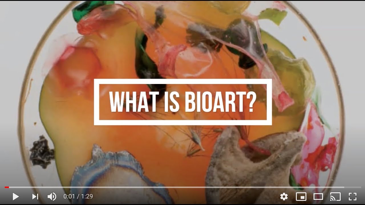 What is BioArt?