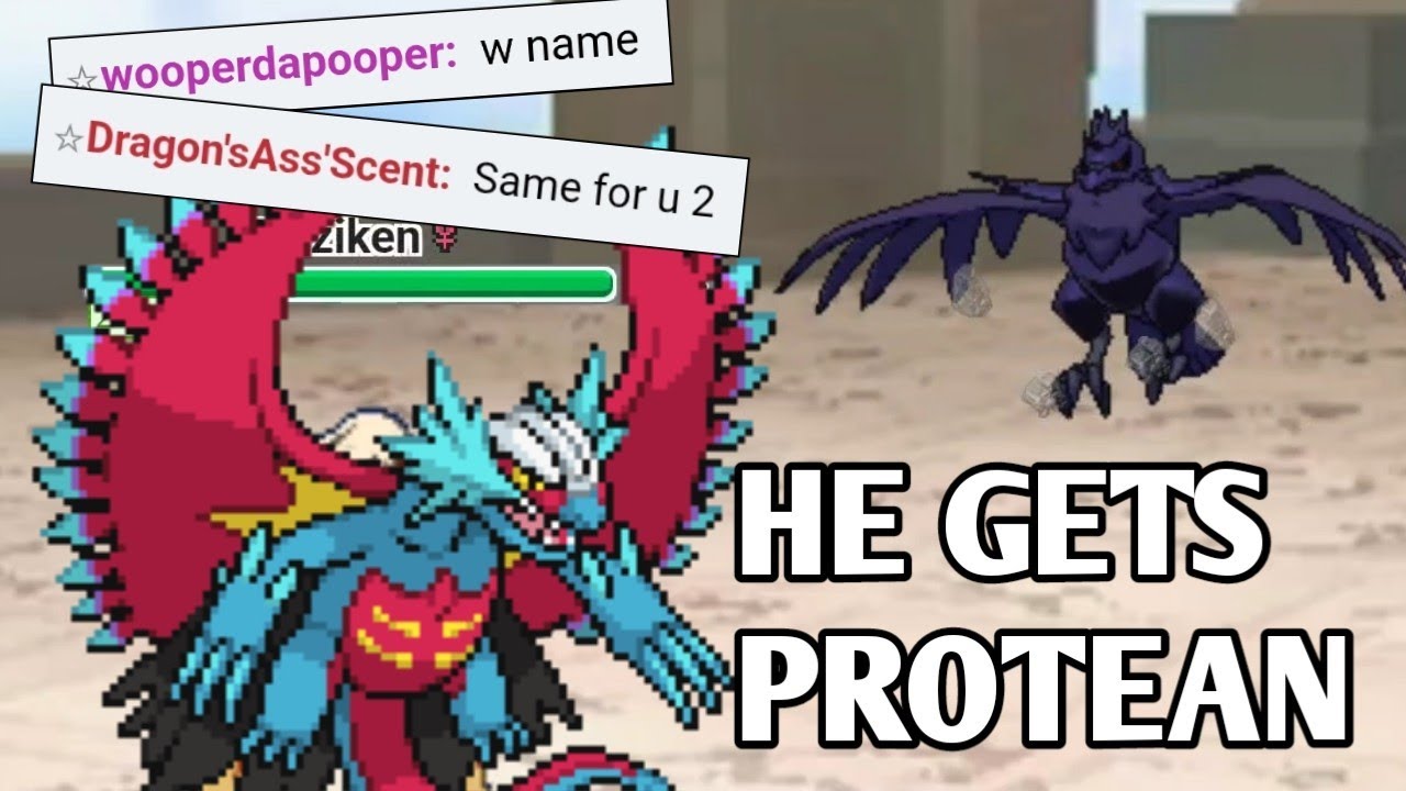 ROARING MOON С &laquo;PROTEAN&raquo; ДОМИНИРУЕТ В NATIONAL DEX AAA