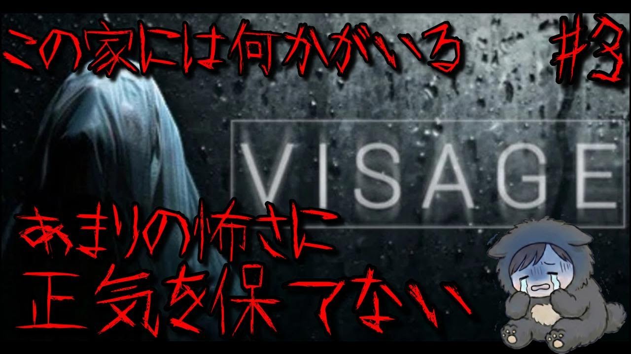 【新章スタート】この家は何かがおかしい。精神崩壊すると言われたホラーゲームがやばすぎる【visage #3】