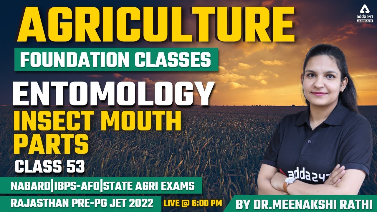 Agriculture Foundation Classes | Entomology #53 | Insect Mouth Parts | Rajasthan Pre-PG