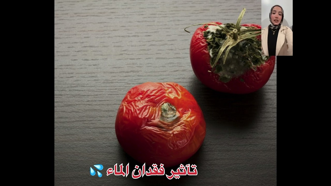 يا تري مين هما أصدقاء البشرة 🧐