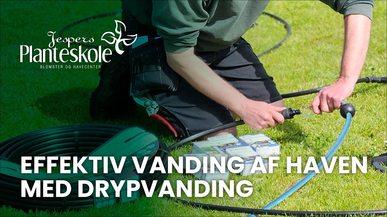 Effektiv vanding af haven med drypvanding