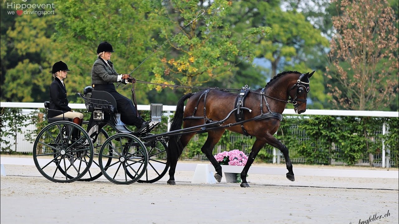 Flip dressage World Championships Le Pin 2024