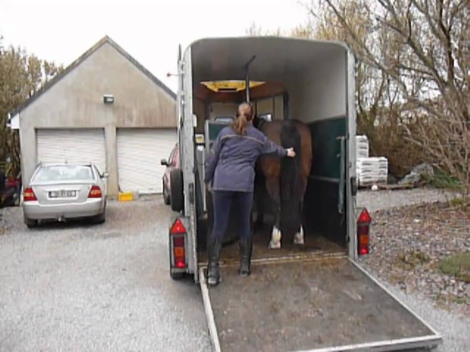 Unload a horse from a trailer in a way that is fun and safe