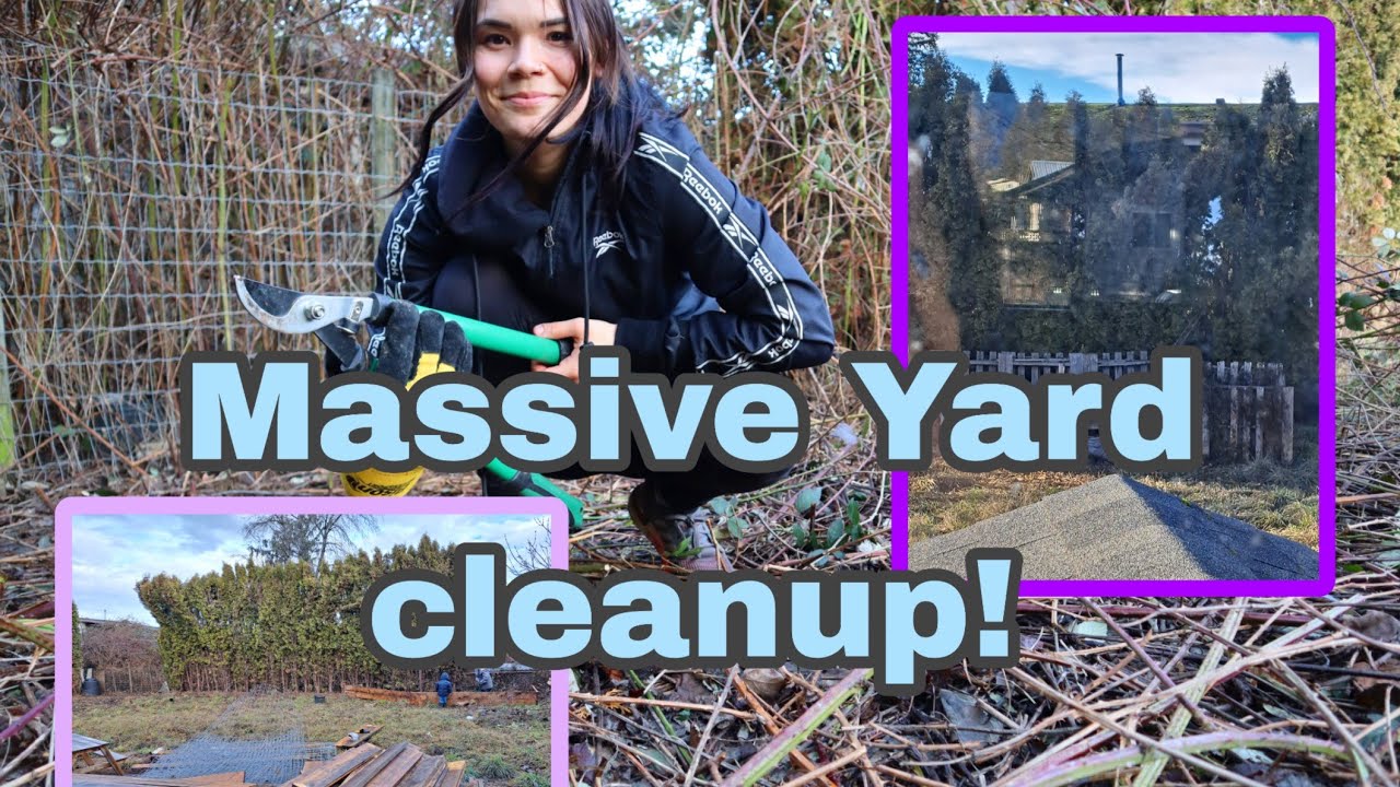 We moved/Yard cleanup/Blackberry bush clear out/Getting the yard ready for spring gardening!
