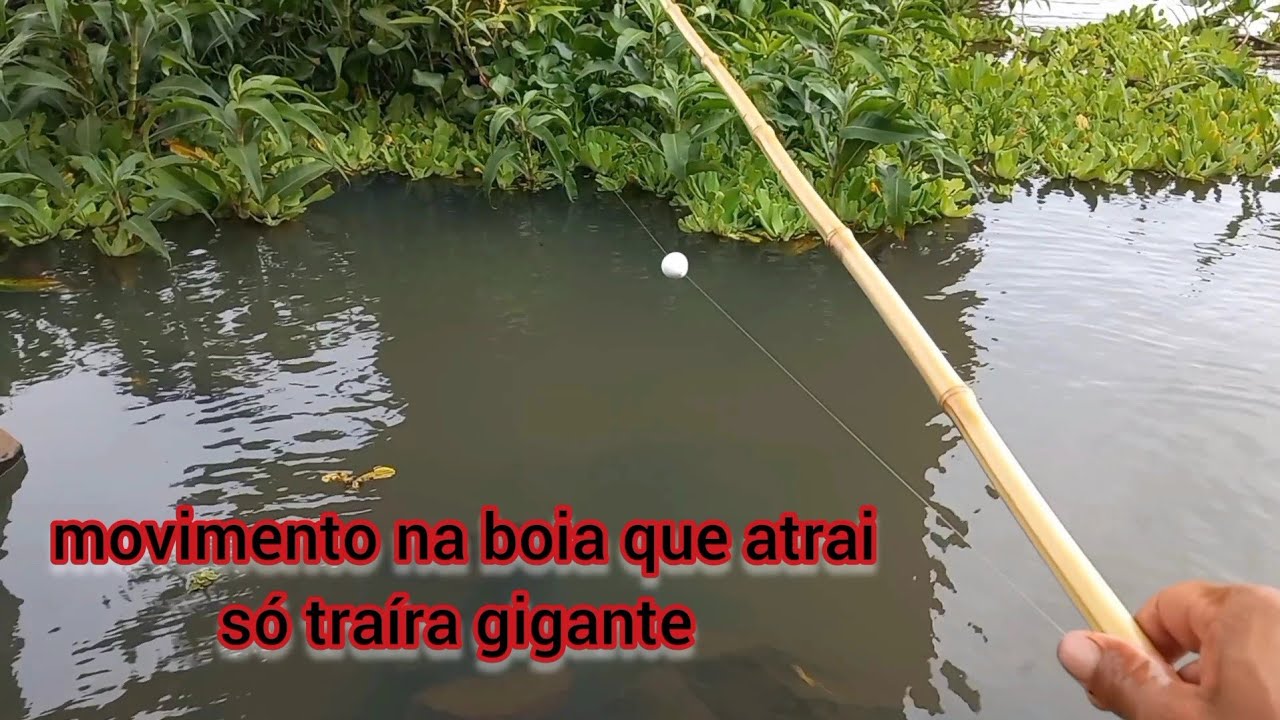 Inacreditável Essa Pescaria de traíra foi de tirar o fôlego esse sistema é mortal