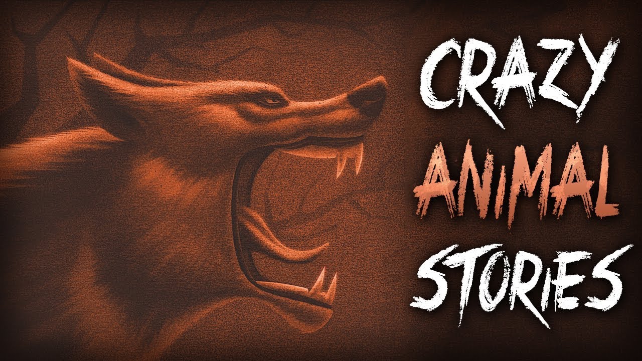 7 True Scary Animal Encounter Horror Stories