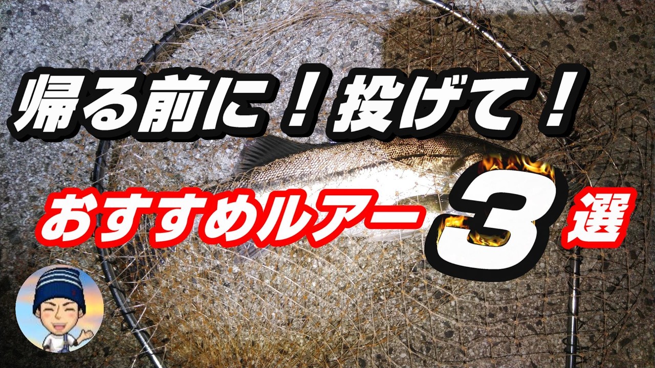 【今日はシーバス！みつけました！！】シーバス 湾奥釣行 @331　 #釣具 #fishing  #釣り