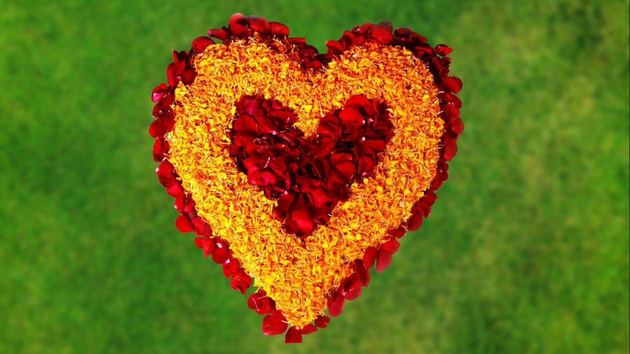 Happy Valentine day status Valentine day status 2026  Valentine day whatsapp status
