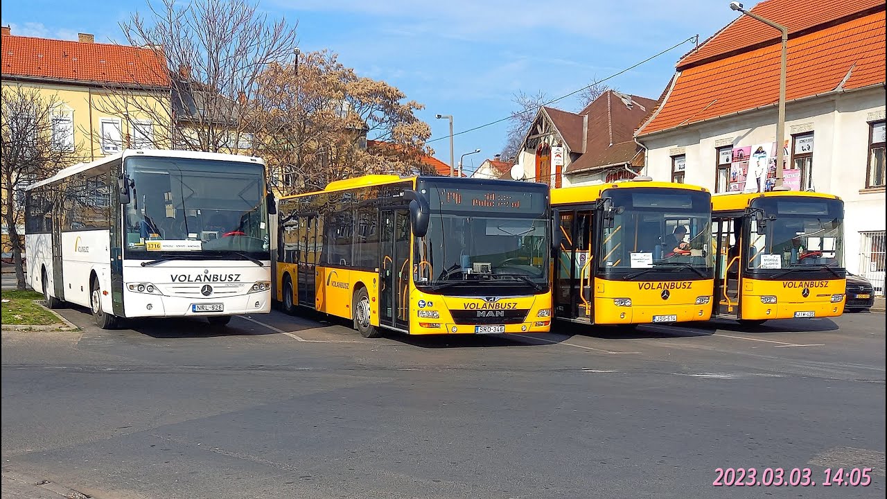 Miskolc B&uacute;za t&eacute;ri buszos csoportk&eacute;pek 2023 tavasz&aacute;n