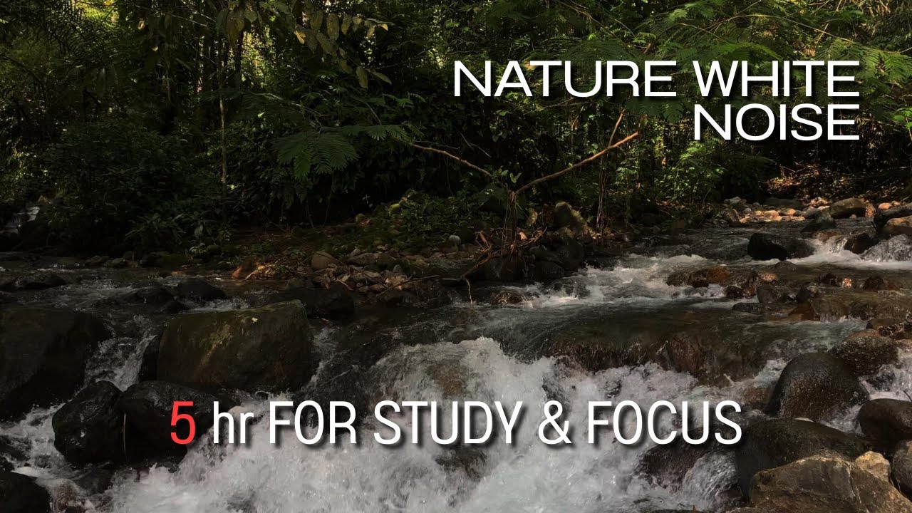 Nature White Noise | Gentle River Stream in the Forest | Relaxing Nature Sounds for Study & Focus