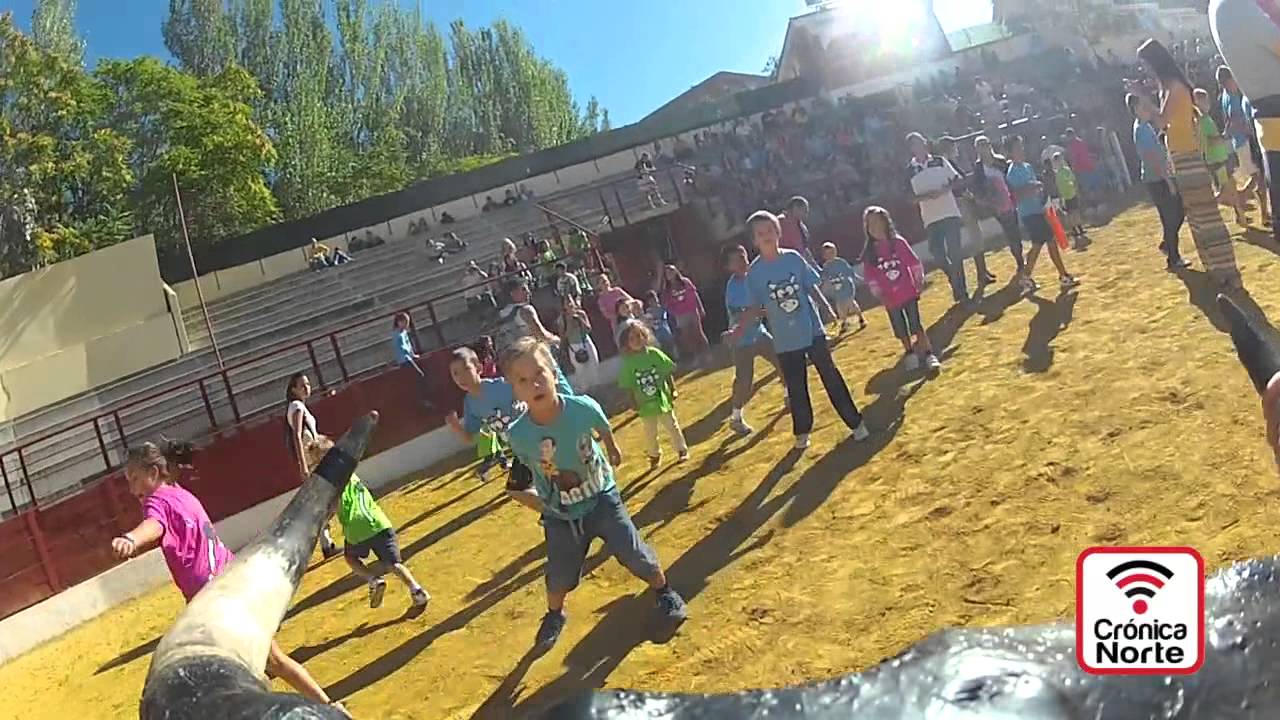 Encierro Infantil con carretones en Algete