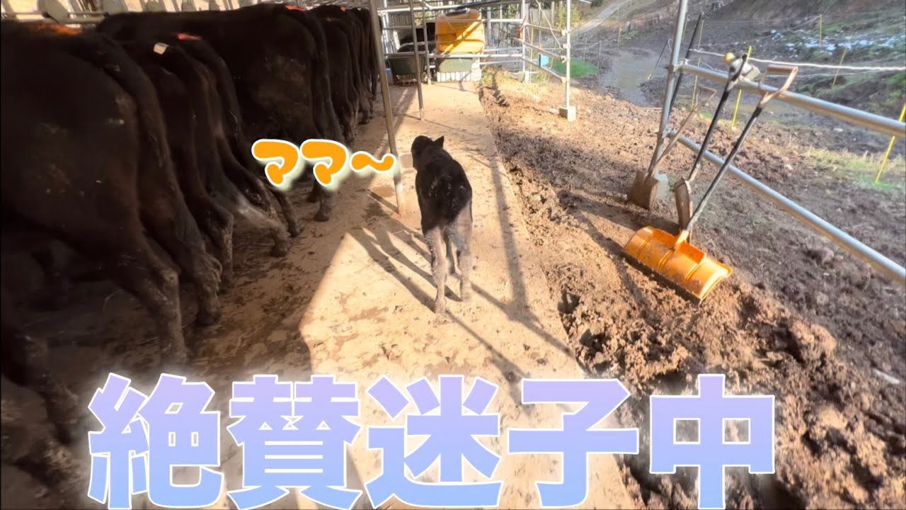 なるとちゃん親離れ？？