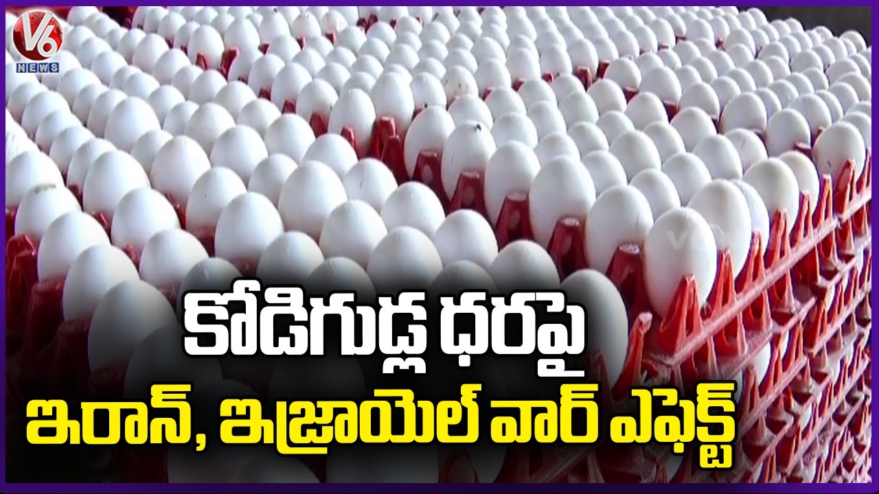 India’s Egg Export Crisis : Iran–Israel War Creates Supply Glut & Price Collapse | V6 News