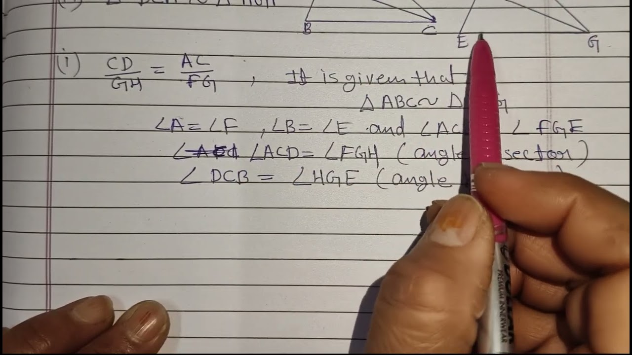 Class 10th NCERT Maths Chapter 6 exercise 6.3Q10
