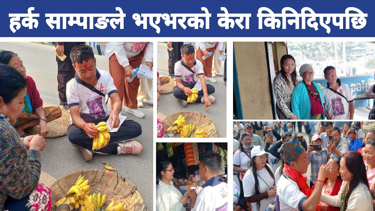हर्क साम्पाङले भएभरको सबै केरा किनिदिएपछि व्यवसायी अति खुशी Harka sampang