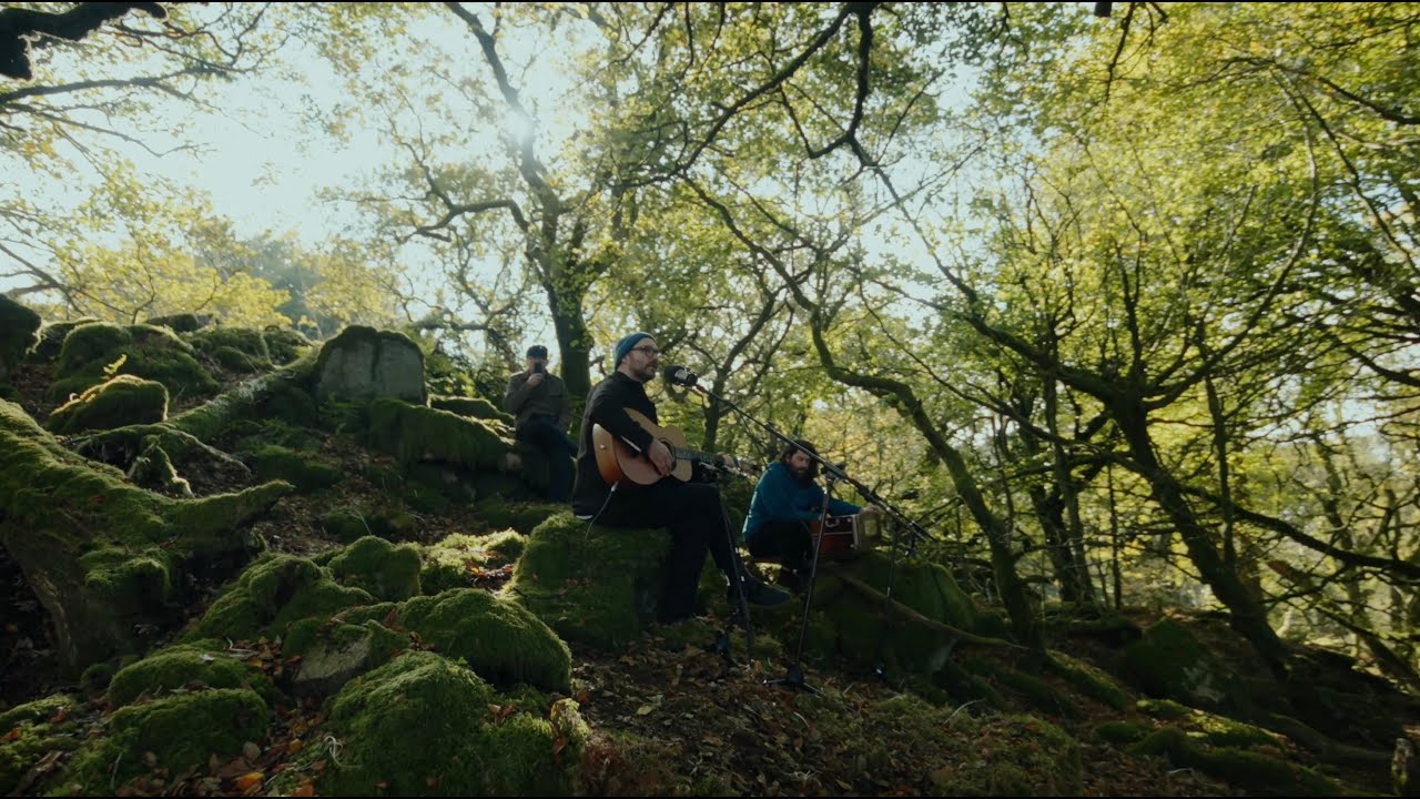 L.Y.R. -  Dark Sky Reservation (Woodland Trust session version)