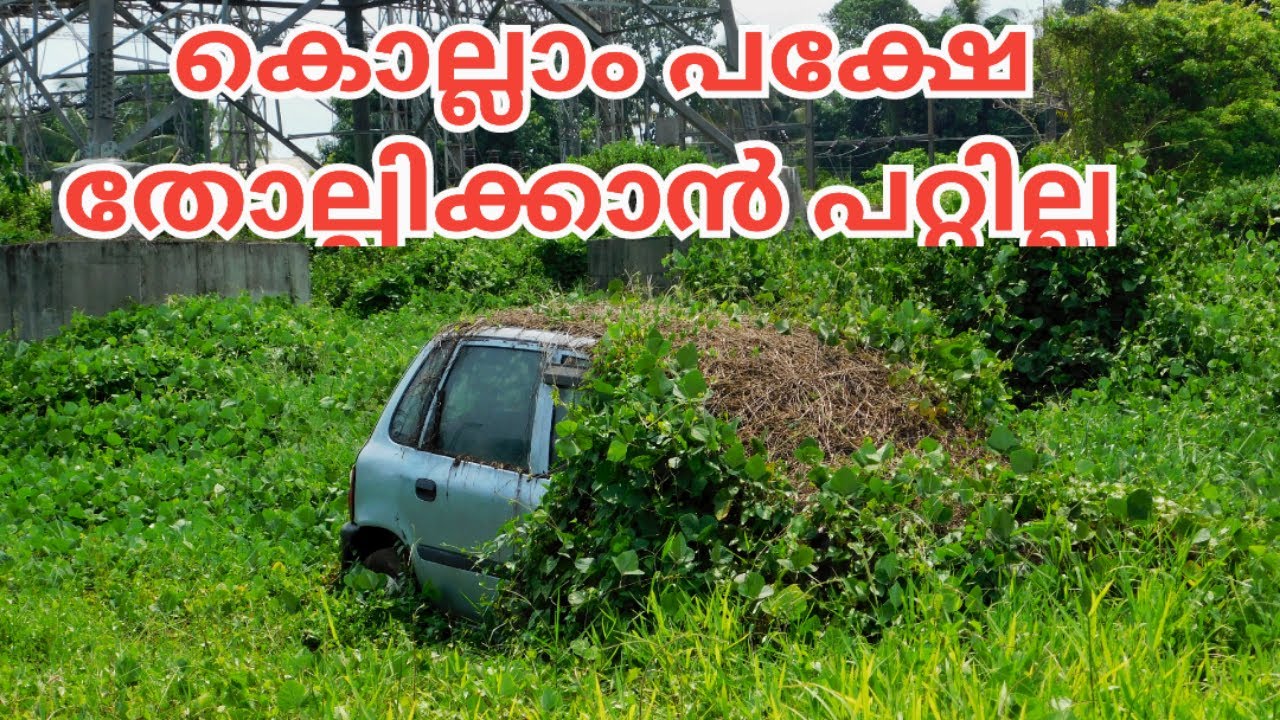 Abandoned Engine Cold Start After Many Years || Maruti Zen Starting After Long Years | POWER | part2