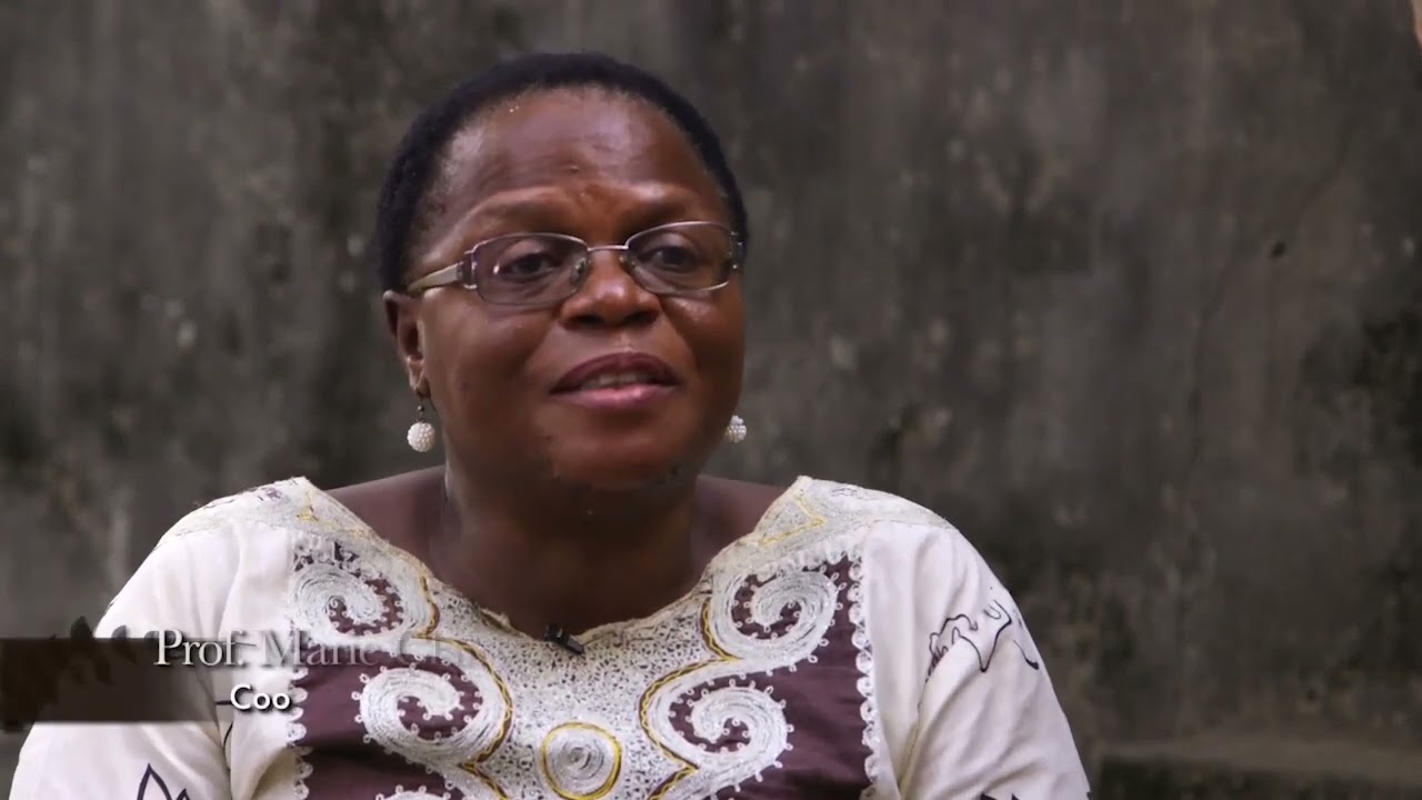 Documentaire Innovateur