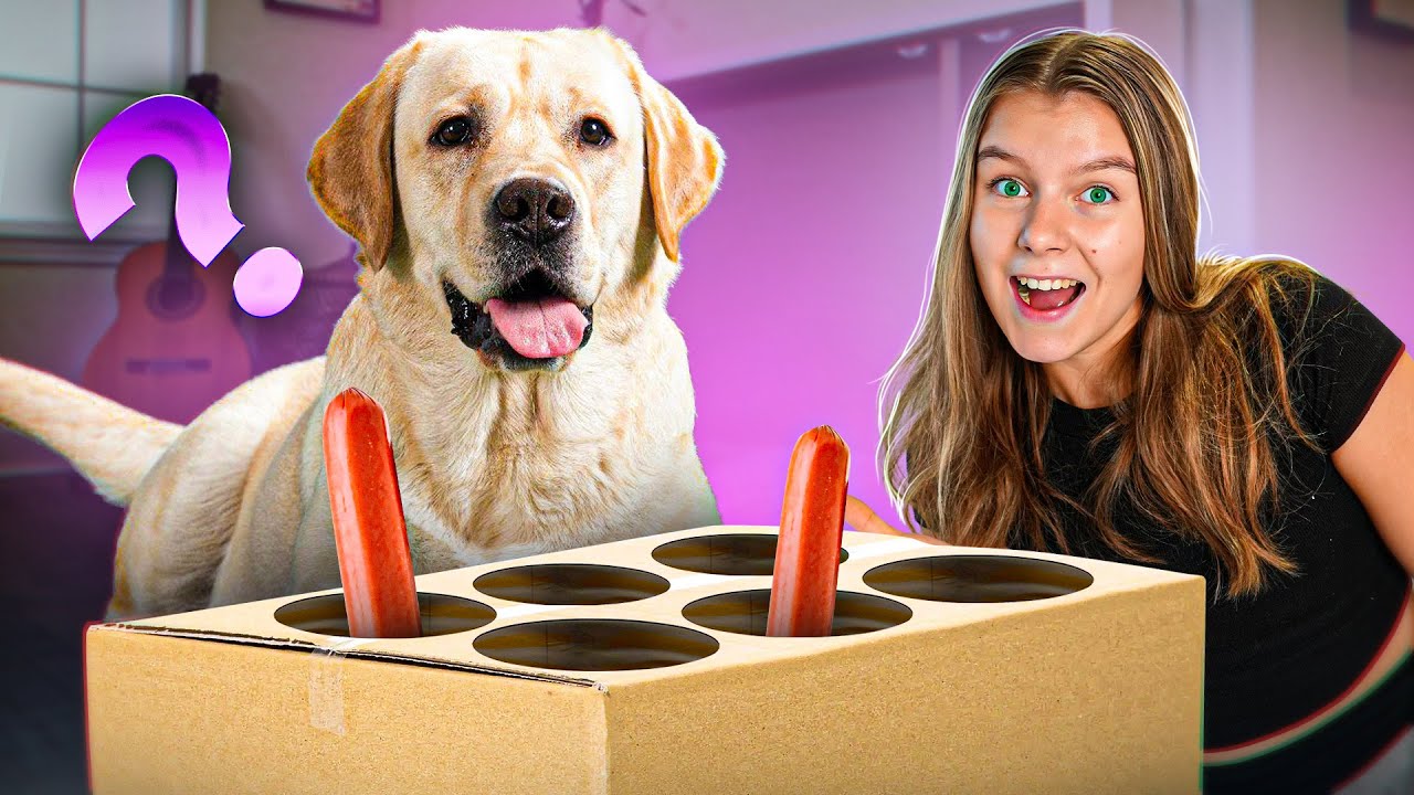 Testataan TikTok KOIRA Haasteita! 🐶