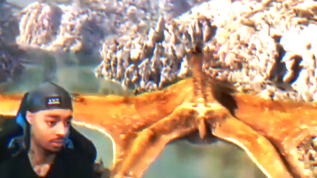66 Million Years Ago? Bruh I Swear I've Seen This Animal Before Though.. (FlightReacts)
