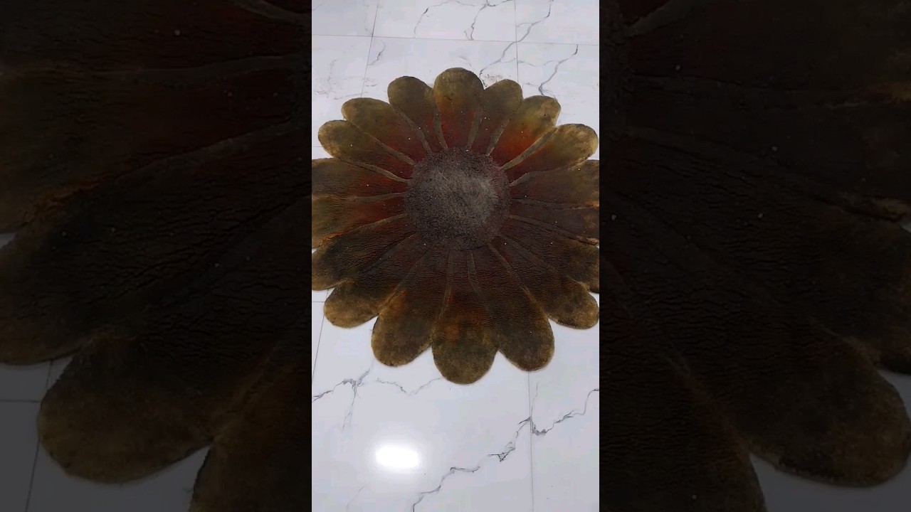 Rug cleaning satisfying🌼🌼