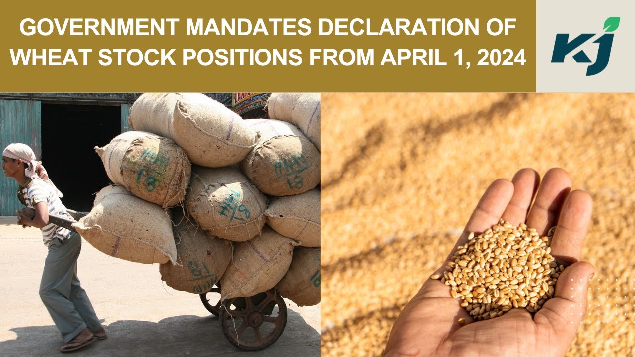 Government Mandates Declaration of Wheat Stock Positions From April 1, 2024