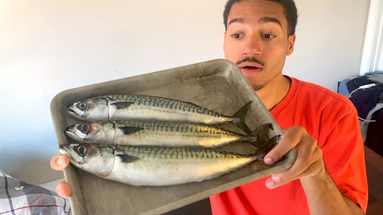 Filleting and Cooking The Smelliest But Tastiest fish. The Atlantic Mackerel~!