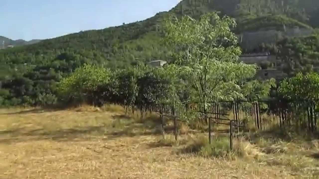 Ахтала