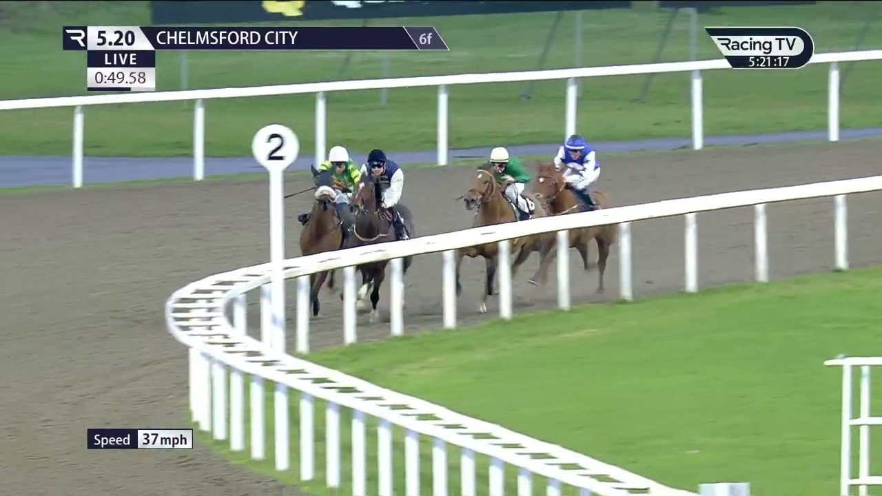 Jungle Mac proves to be too good in the chelmsfordcityracecourse.com Restricted Maiden Stakes