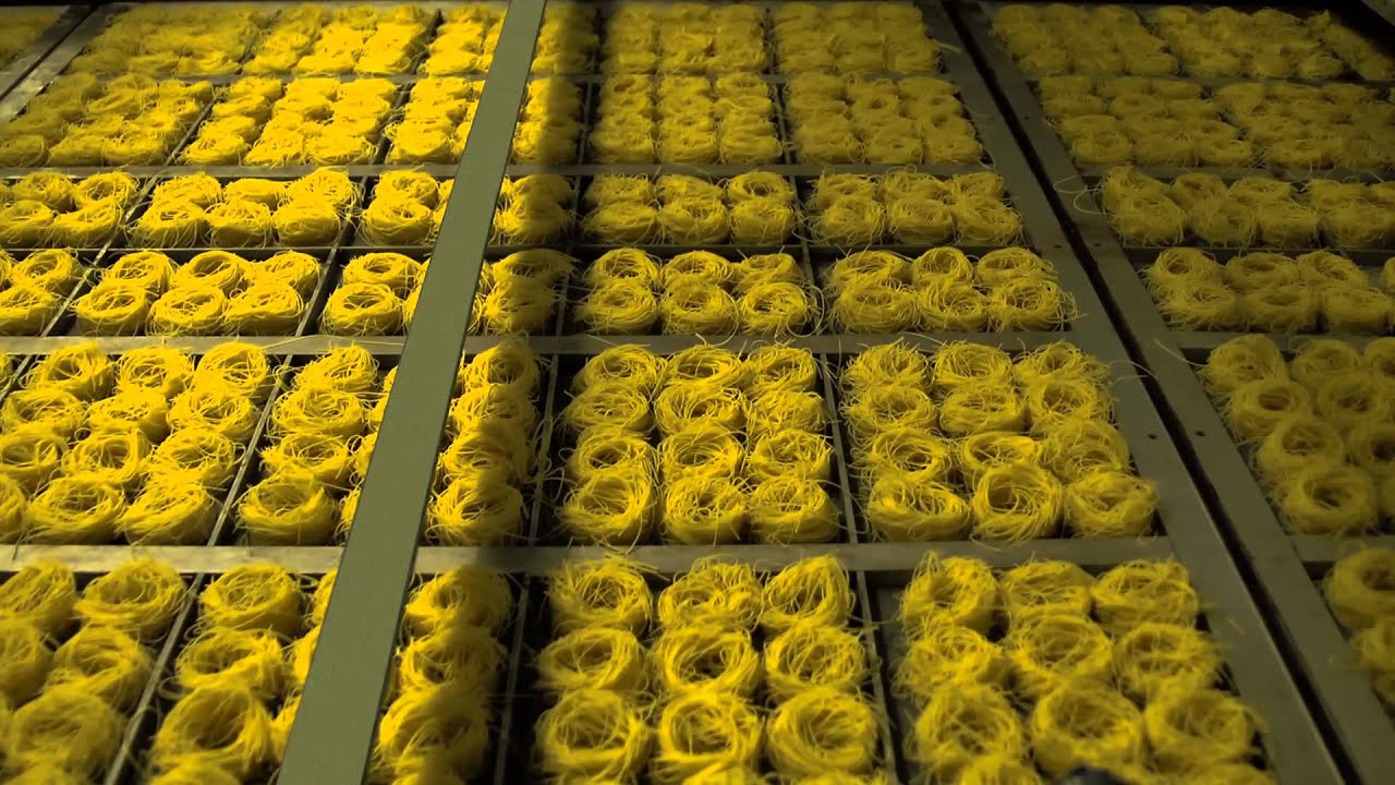 PASTIFICIO FABIANELLI