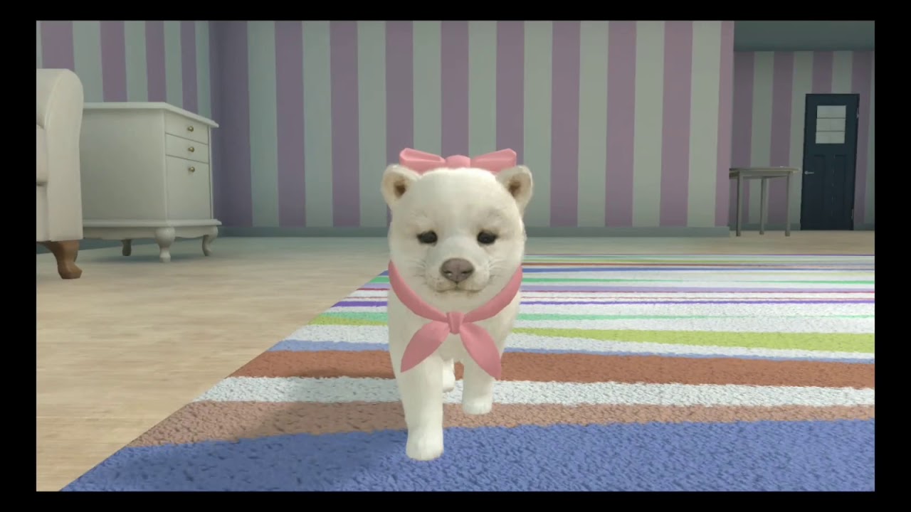 Little Friends: Dogs & Cats - Tournaments and Training
