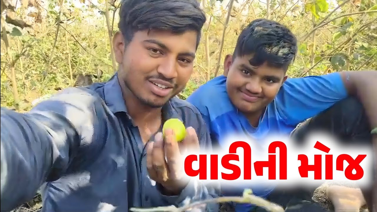 વાડીની મોજ હો..😆