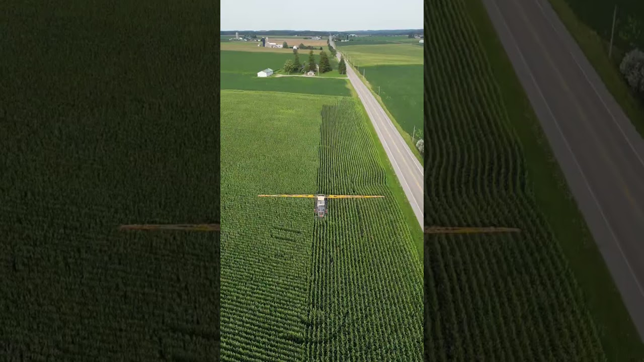 Spraying in tall corn looks so cool !
