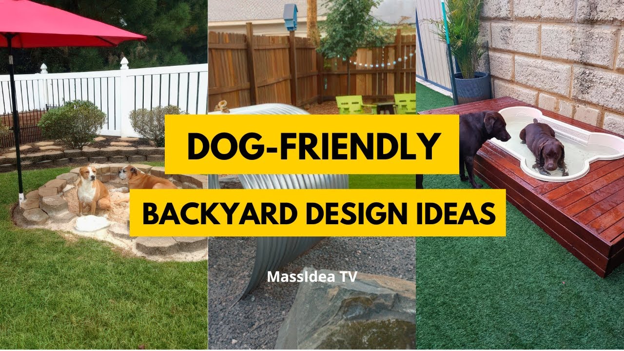 15+ Dog-Friendly Backyard Ideas to Keep Your Dog Happy