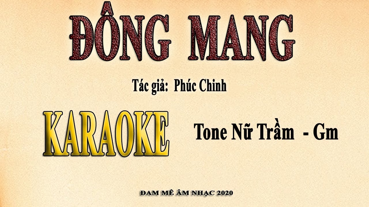 ĐÔNG MANG - Phúc Chinh Karaoke remix tone nữ trầm