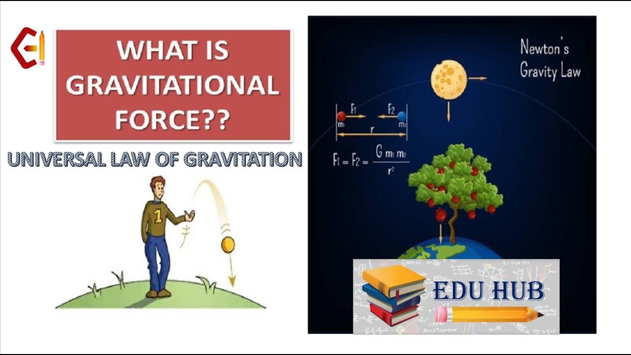 What is #gravitational_force ?  #universal_law_of_gravitation #ncertsolutions #physics #eduhub4you