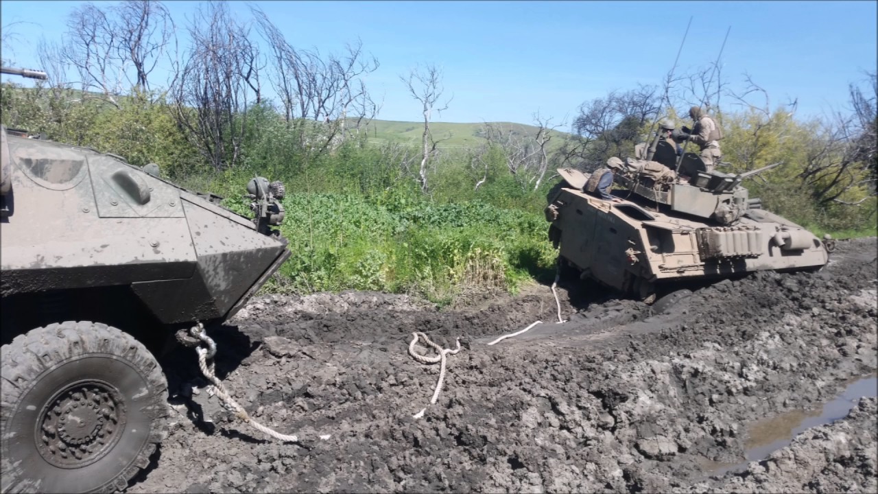 3-17 Light Armor Reconnaissance Training Company 2017