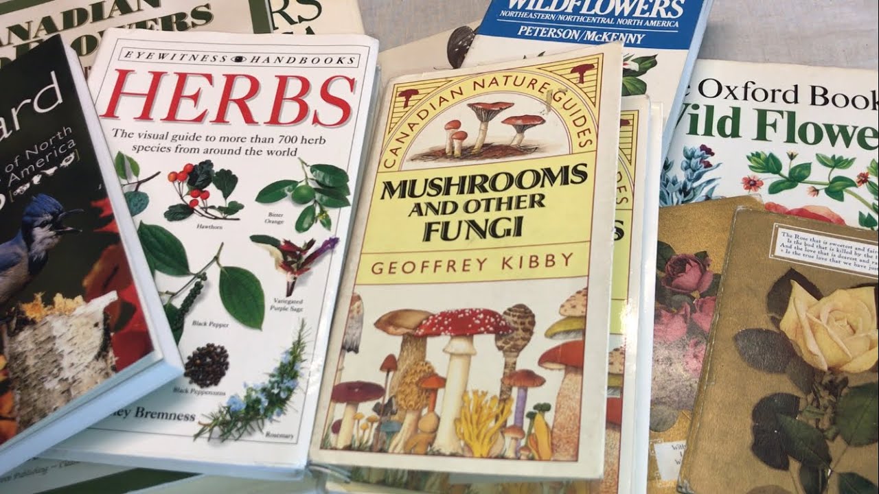 Books for Junk journals & how I like to use them / thriftbooks