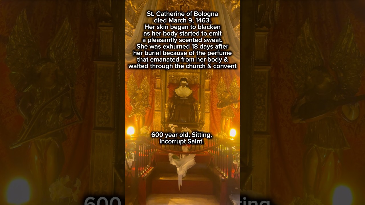 600 yr old St. Catherine of Bologna in the church of Corpus Domini #catholic #pilgrimage #travel