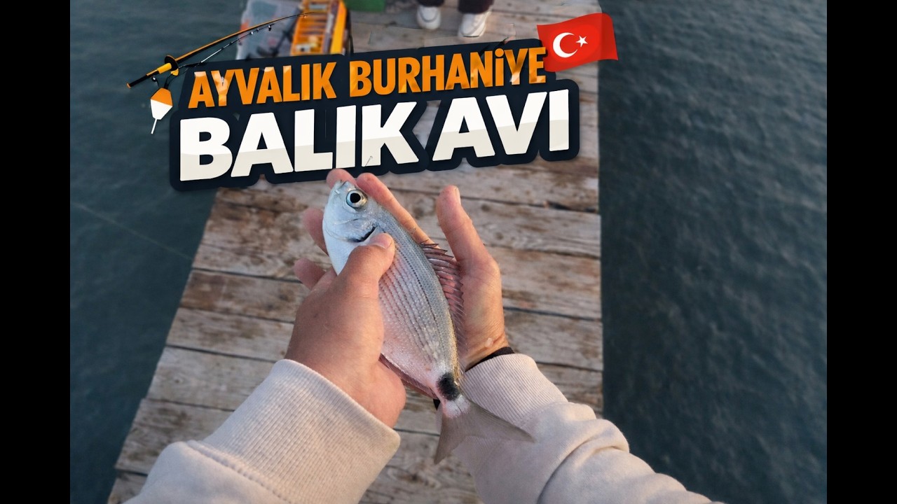 AYVALIK /BURHANİYE  Kıyıdan  Balık Avı