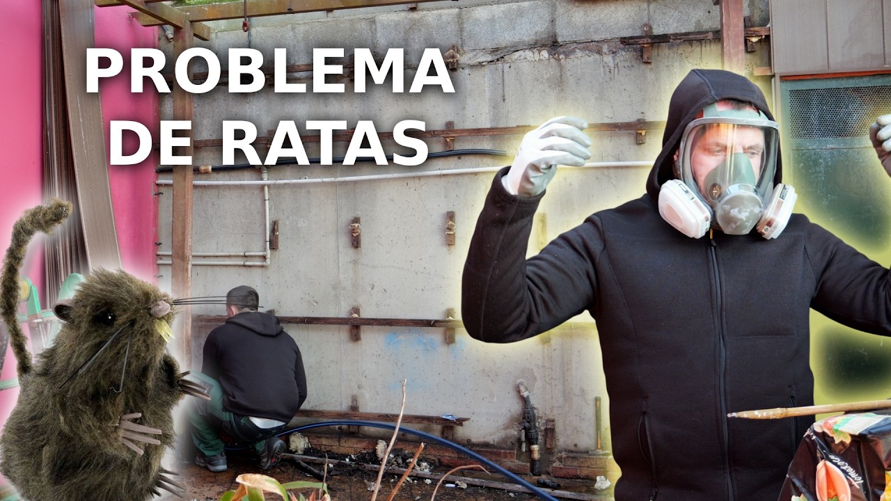 Destrozos del viento 💨 y de ratas 🐀