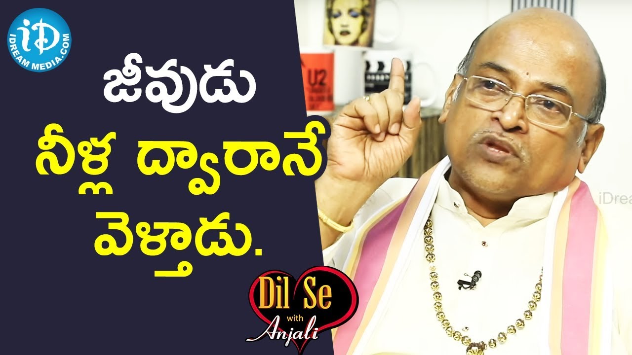 జీవుడు నీళ్ల ద్వారానే వెళ్తాడు. - Narasimha Rao || Dil Se With Anjali