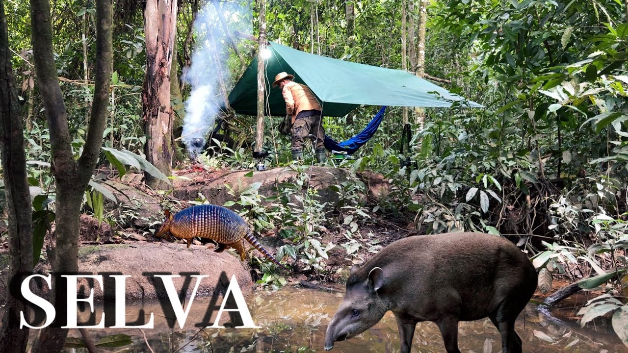 ENTREI em uma MATA Fechada FIZ um ACAMPAMENTO, passei a NOITE em meio aos ANIMAIS SELVAGENS Largados